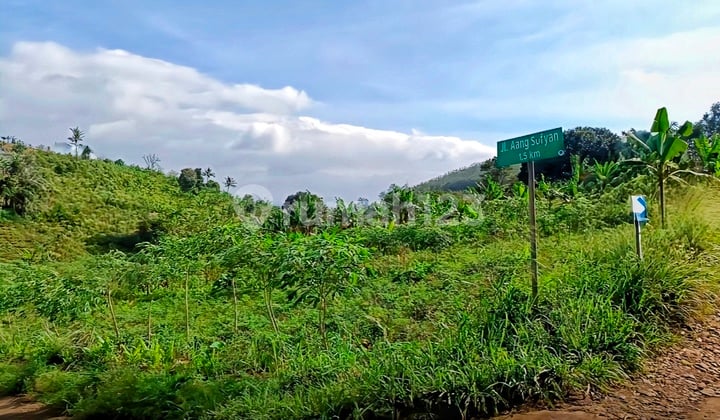 Best Deal! Turun Harga Lagi Hanya Rp 55ribu/m² Tanah Murah Shm 23.750 M² Di Sukaresmi Cianjur Jawa Barat