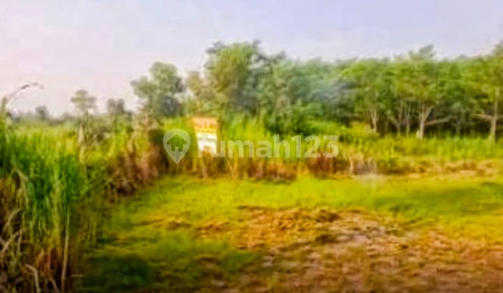 Turun Harga Lagi! Tanah 5 Hektar Hanya 130rb/m2 Harga Murah Di Bawah Pasar Di Jonggol Bogor - Cocok Untuk Perumahan, Villa, Agrowisata, Atau Investasi