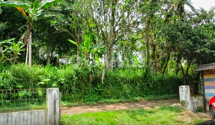 Hanya Rp. 150rb/ M2 Tanah Asri, Udara Sejuk, Akses Mudah, Cocok Untuk Kebun Produktif Atau Perumahan, Dan Villa Di Nagrak Sukabumi Jawa Barat