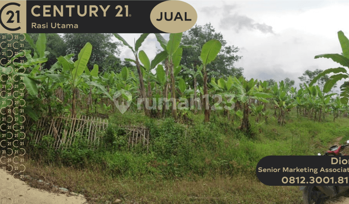 Land in Sirnasari Village, Tanjungsari, Bogor