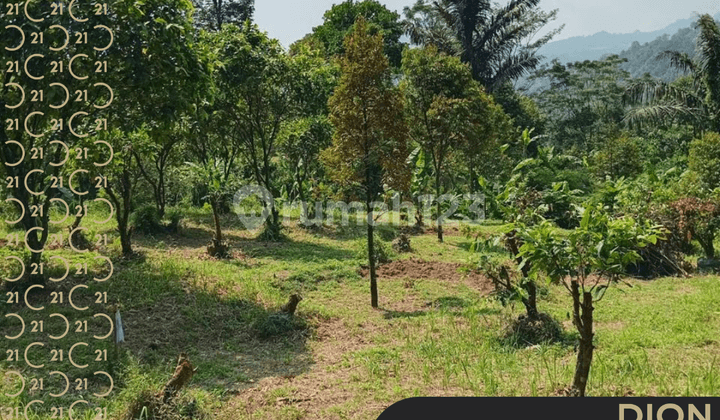 Land in Sirnarasa Tanjung Sari Bogor