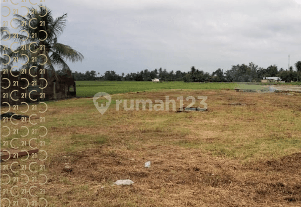 Dijual Tanah Kavling di Suka Damai Sei Bamban Serdang Sumatera Utara