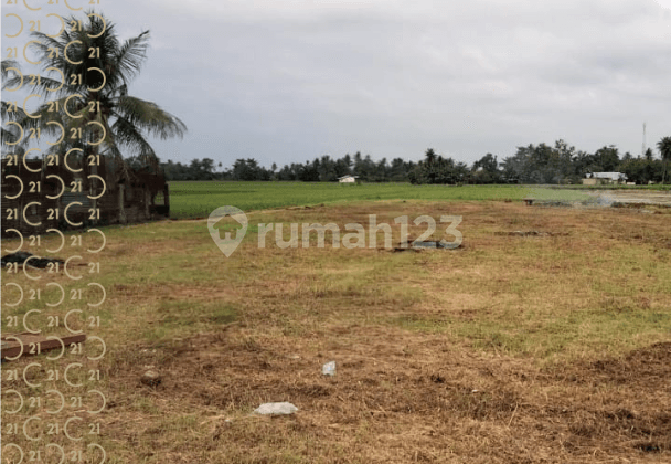 Dijual Tanah Kavling di Suka Damai Sei Bamban Serdang Sumatera Utara