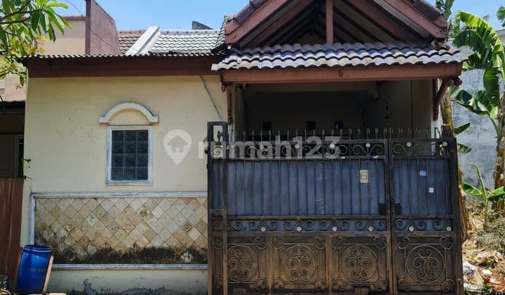 Rumah Dijual Siap Huni Taman Royal 1 Pinus Cipondoh
