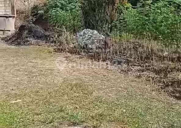 Beli Tanah Pinggir Jalan Raya Provinsi Gunung Sindur Bogor Bonus Rumah Siap Huni !!