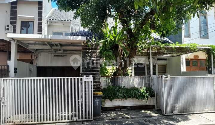 Rumah Seluas Ini Siap Huni, Strategis, Dijual di Bawah Harga Pasar, Nusa Loka, SHM