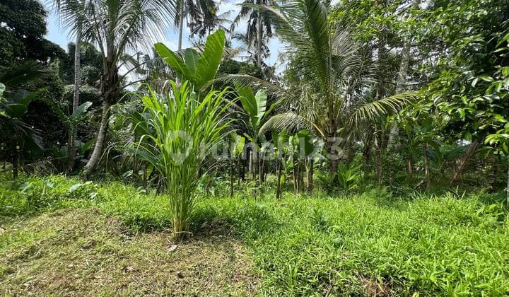 Dijual Tanah Via Lelang Area Bresla Payangan, Kab Gianyar Bali