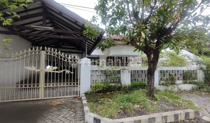 Rumah Usaha Baruk Utara Selangkah Raya Merr, Belakang Superindo, Dekat Pizza Hut, Stikom / Dinamika, Upn, Akses Tol