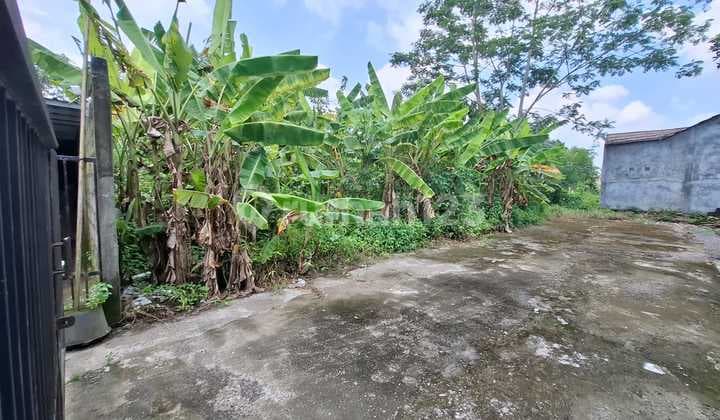 Tanah Luas 240 Meter Persegi Lokasi Strategis di Area Jalan Palagan - Ngaglik Sleman