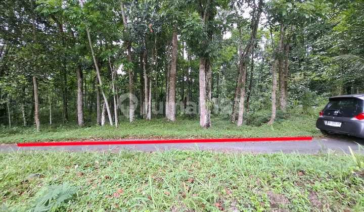 Investasi Lahan Strategis, Tanah Tegalan Lokasi di Pakem, Sleman