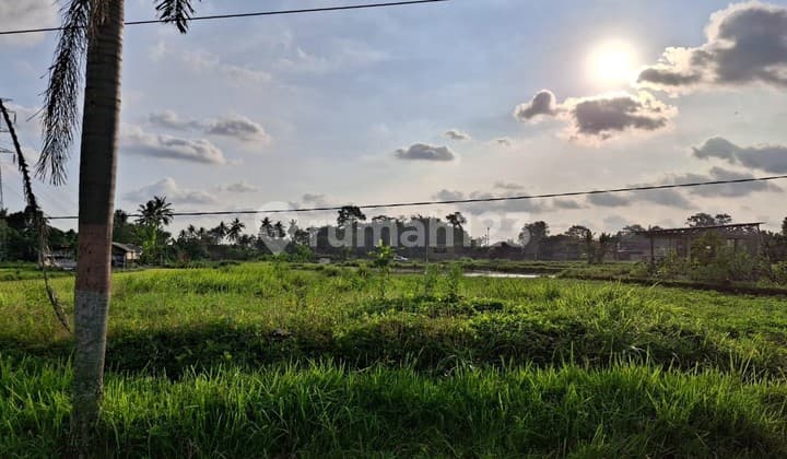 Tanah Luas 774 Meter Persegi Lokasi Krandon Wedomartani Sleman