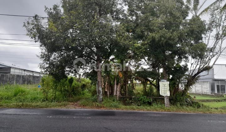 Dijual Tanah Luas 1.051 Meter Persegi Lokasi Jl. Palagan, Sleman, Yogyakarta