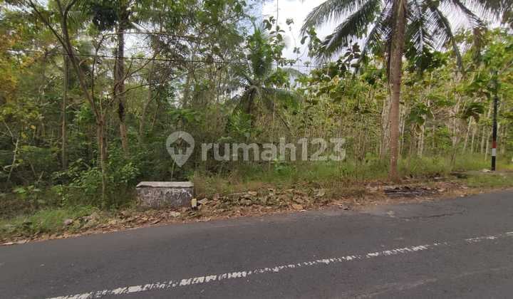 Tanah Dijual Luas 1898 Meter Persegi di Jalan Milir, Panjatan - Kulon Progo