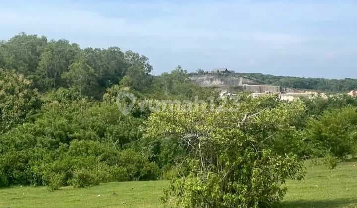 Cheap Land Ready to Build Pink Zone in Gunungbpayung Nusa Dua Bali