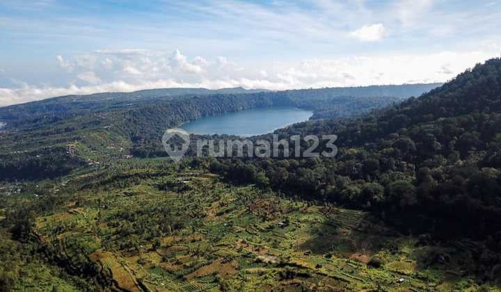 Cheap Land Suitable for Restaurants Villas with Lake and Mountain View in Munduk
