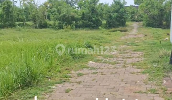 Di Sewakan Tanah Murah Siap Bangun Lingkungan Villa di Kutuh Bali