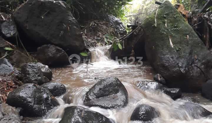 Tanah Murah View Cantik Siap Bangun Di Payangan Ubud Gianyar Bali
