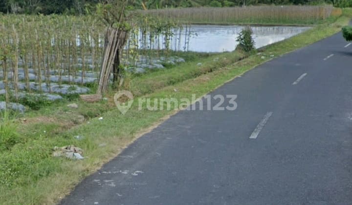Tanah Murah View Sawah Dan Sungai Deket Ubud Badung Bali