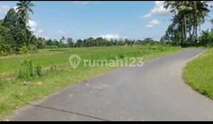 Tanah Kavling Murah View Sawah Dan Sungai Deket Ubud Gianyar Bali