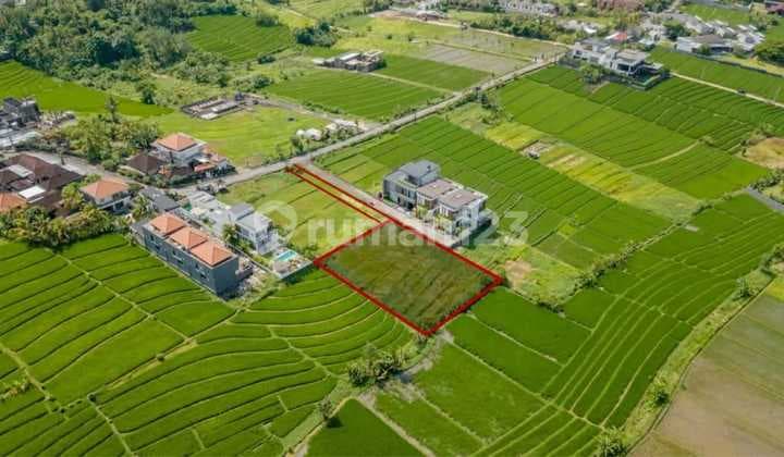 Tanah Murah Siap Bangun View Sawah Deket Pantai Nyany Tabanan