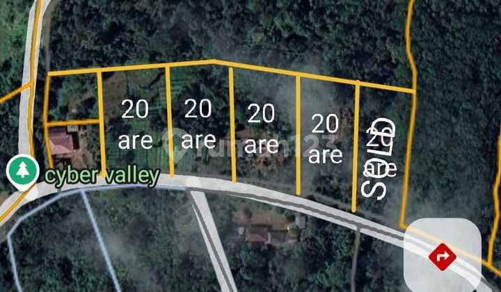 Tanah Murah Plot Kecil dengan View Cantik di Munduk Singaraja