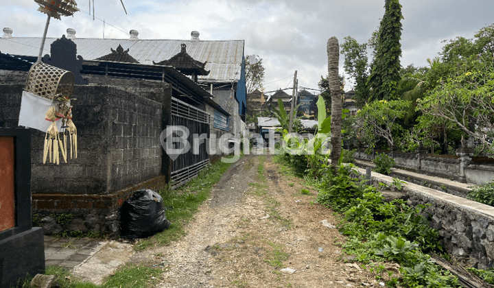 LAND FOR LEASE IN CANGGU – FREEHOLD TITLES (SHM), 25-YEAR LEASEHOLD