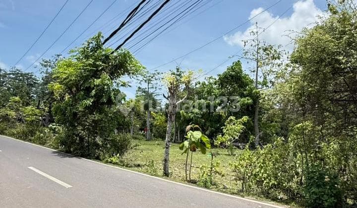 Dijual Tanah 2000m2 Jl Utama Pantai Balangan Zona Pariwisata