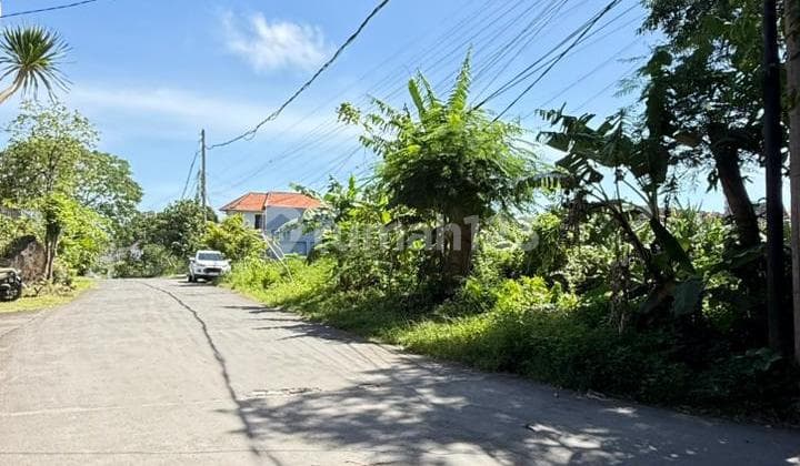 Dijual Tanah Premium 380M2 Dipecatu Bali