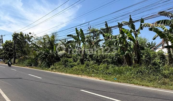 Dijual Tanah Komersil 700m2 Di Jalan Utama Ungasan