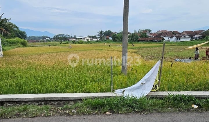 Jual Cepat Tanah Sawah Produktif Kota Tasik