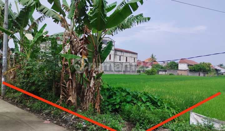 Tanah Sawah Lokasi Strategis di Daerah Kasihan Bantul