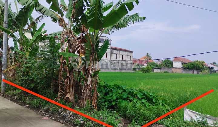 Tanah Sawah Lokasi Strategis di Daerah Kasihan Bantul