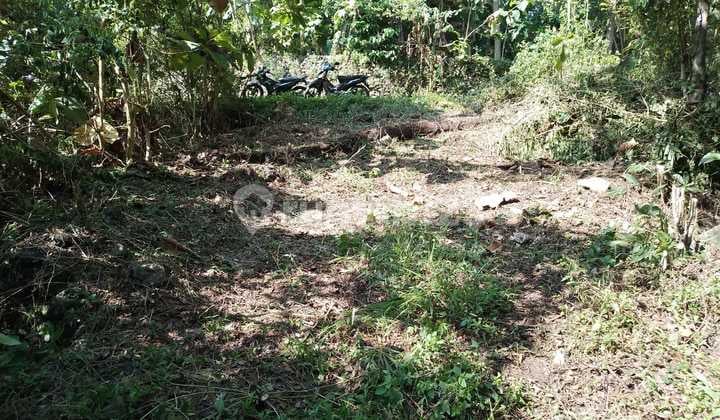 Tanah Pekarangan Lokasi Strategis Dekat Univ. Mercu Buana - Sedayu Bantul