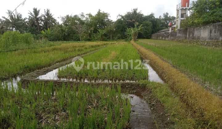 Tanah Sawah Lokasi Strategis di Kawasan Candi Binangun - Pakem Sleman