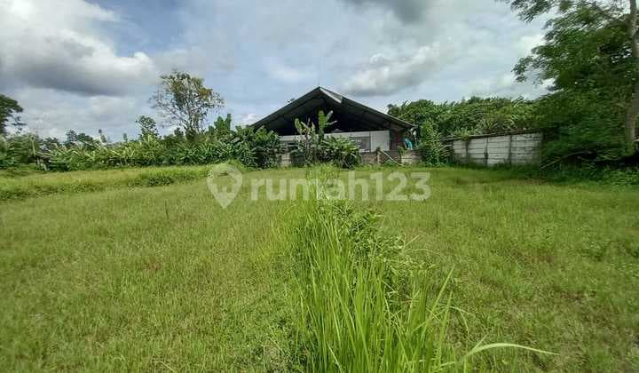 Tanah Sawah Lokasi Dekat Kawasan Wisata Kopi Klothok - Ngemplak Sleman