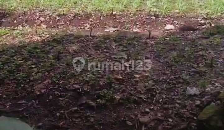 Land Area 3030 Square Meters Located in Ponjong Area, Gunung Kidul