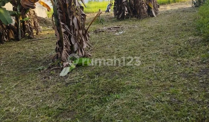 Dijual Kavling Tanah di Perum Peruri Teluk Jambe Karawang Jabar