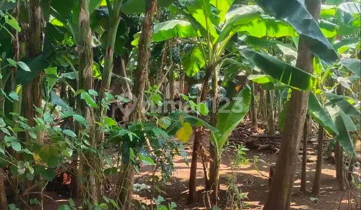 Tanah Dijual Di Jl Wibawa Mukti 2 Jatiasih Bekasi