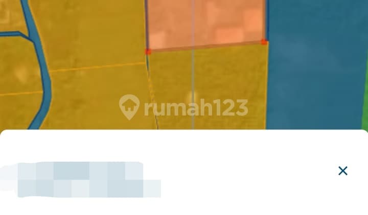 Tanah 44 Are Jalan Kaki Ke Pantai Lokasi Tangguwisia Buleleng