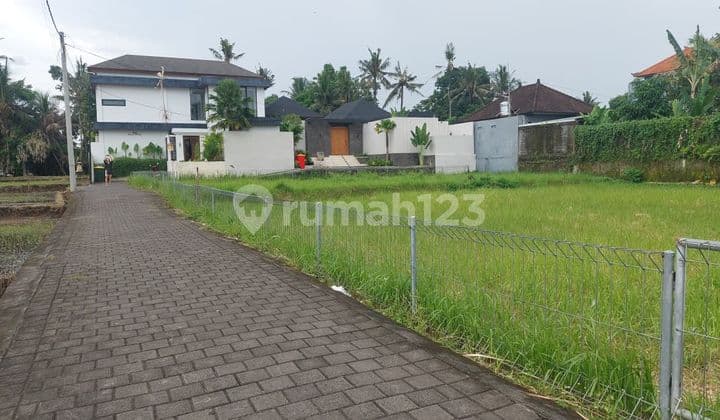 DIJUAL TANAH VIEW SAWAH - LODTUNDUH, UBUD INVESTASI EMAS DI TENGAH KAWASAN VILLA PREMIUM! ( JK )