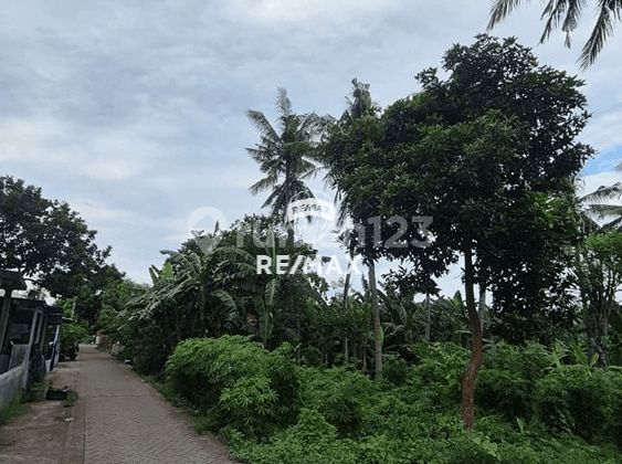Dijual Tanah Strategis Solong-Klatak, Banyuwangi