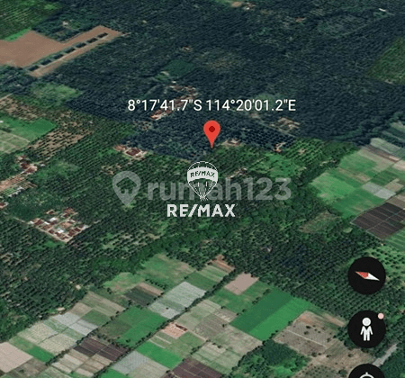 Dijual Tanah Kebun-Pakistaji, Kabat-Banyuwangi