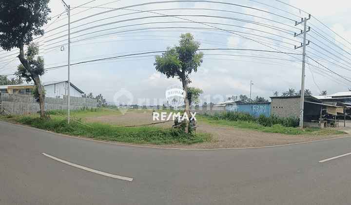 Di Jual Tanah di Jalan Lingkar Ketapang-Banyuwangi