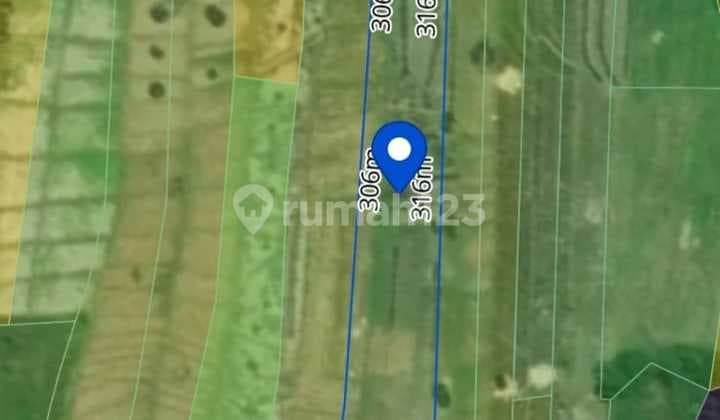 Di Jual Tanah Tibubiu Kerambitan, Tabanan Bali Los Pantai Pasut