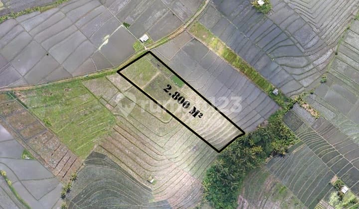 LAND 2800M2 AT TABANAN, NICE VIEW AND NEAR WITH THE BEACH