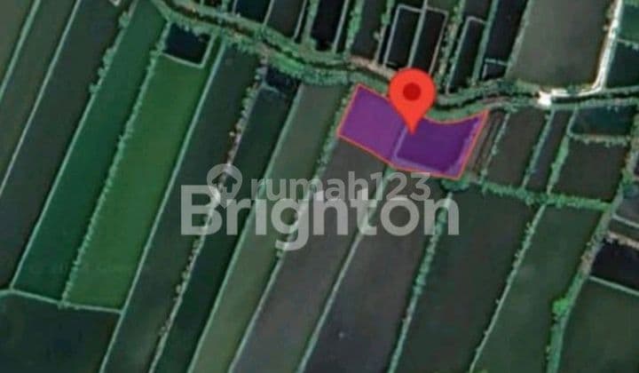 Selling Land with Bonus Fish Pond