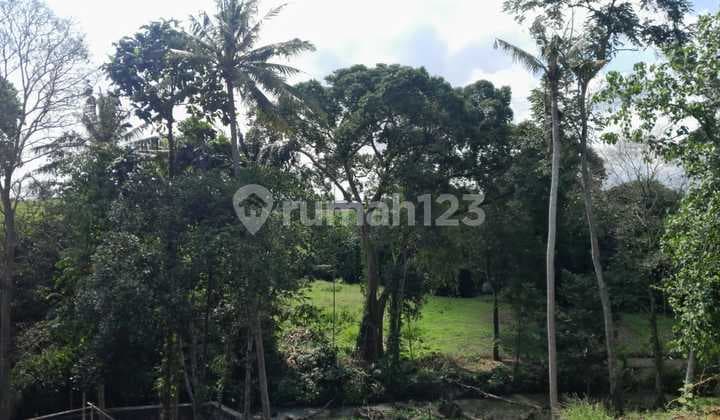 Tanah Los Sungai Super Langka Siap Bangun Buduk Dekat Tumbak Bayuh Bali
