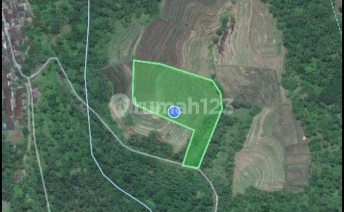 Tanah View Gunung & Laut di Penebel