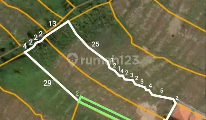 Land in Babakan Canggu