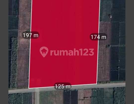 Tanah Industri Jetis Mojokerto 2,3 Hektar